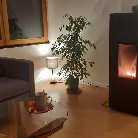 La Ticinella Lejlighed Losone Eksteriør billede